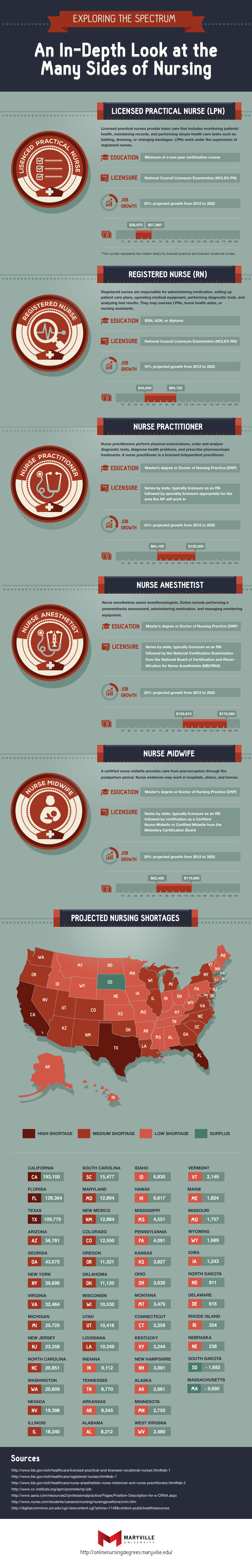 Exploring the Spectrum An In-Depth Look at the Many Sides of Nursing Infographic